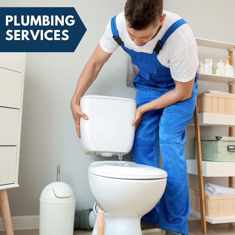 Plumbing Company in Hawkinsville, GA
